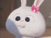 christyxc