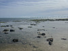 Wawamei