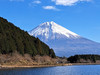 Oshinchiu