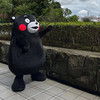 東涌熊本熊