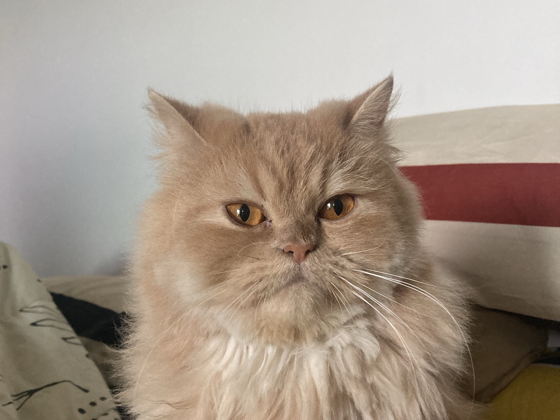 หมงจุ้นพาเที่ยว