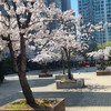솢솢솢