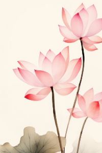 jp68 奈維拉契裡威斯汀飯店優惠