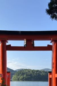 Jennawwwww たちばな四季亭 クーポン