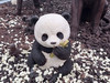 Chie Wen