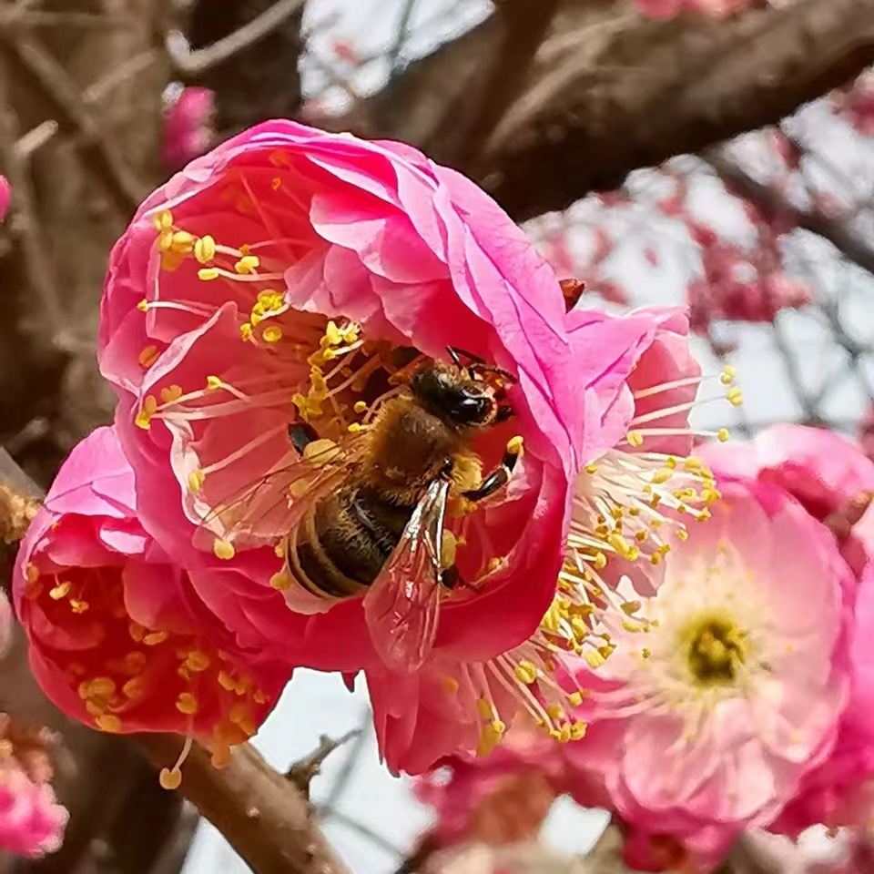 軌道上疲於奔命