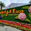 shukfong chi