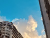 Leon_796