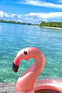 ゆー2525 浮羅交怡阿瑟尼亞度假酒店優惠