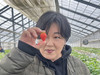 P_Kei