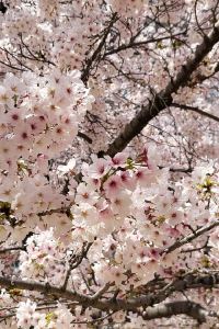 Smokeyjoe 高雄義大皇家酒店優惠