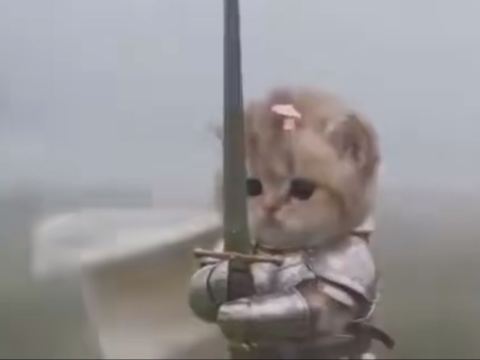 131peony