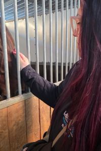 valeryRe 萊昂奧羅飯店優惠