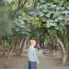 Avatar 3