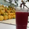 Avatar 1