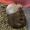 kumaandmissie