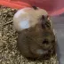 kumaandmissie