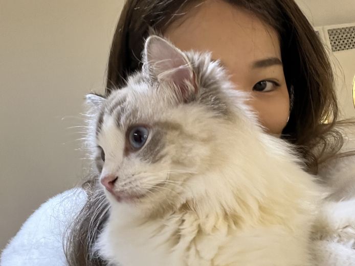 Feilee