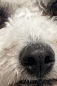 hihi_.na ホテルアマネク蒲田駅前 クーポン