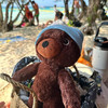 PMBear