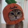 천원한장