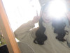 mabell1