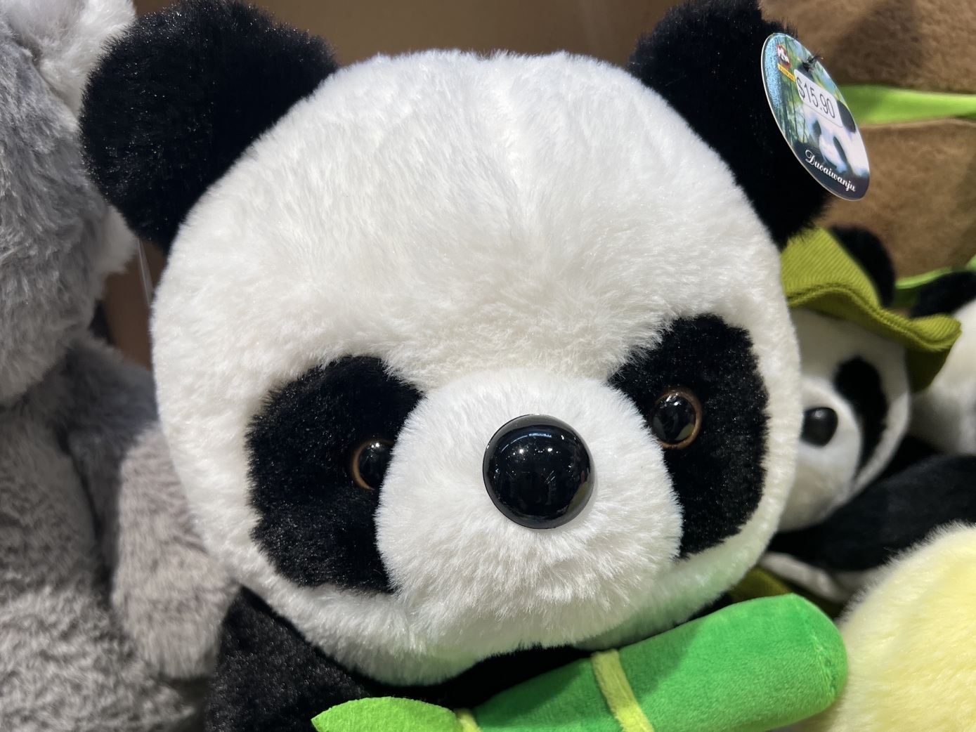 Alexandrine LECLERCQ