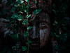 Nick_0912