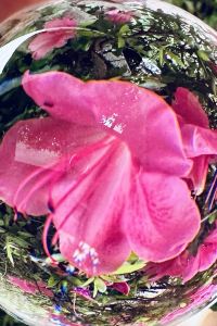 reimin かんぽの宿 伊野 クーポン