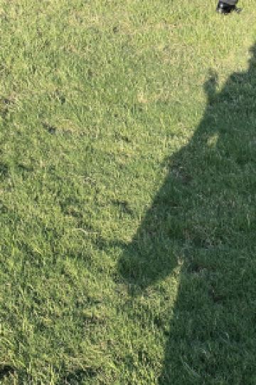 Aniiitabi チサン グランド 高山 クーポン