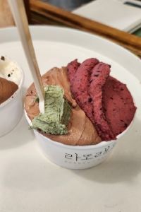 마일드L 알로프트 서울 강남 쿠폰