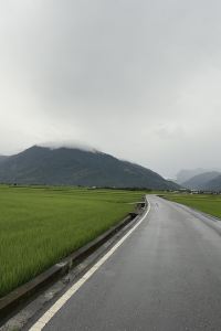 葵花寶典 台南安平留飯店優惠