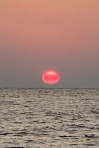 ムーニ 大阪威斯汀飯店優惠