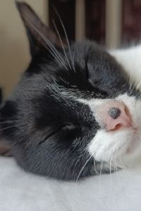 PYN22 宜蘭夜市橙堡渡假旅宿優惠