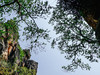 Tanyarat_Earn