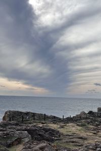 ゲスト 純和風旅亭　碧翠御苑 クーポン