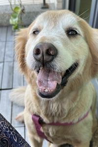 Tsenggrace 嘉義洄嘉居行旅優惠