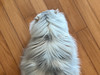 MTartH