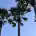 Antony_69