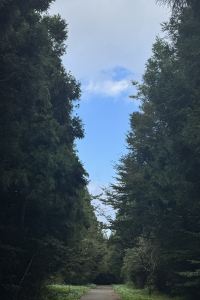 리뷰어 브리즈베이 호텔 쿠폰