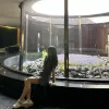 Avatar 1