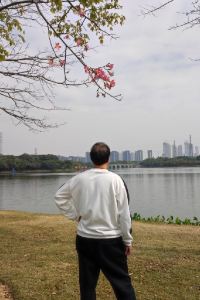 Monkey23 維也納飯店（深圳梅林店）優惠