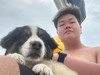 Ching_my_life