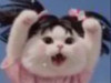 修修咪