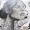 eisha mie