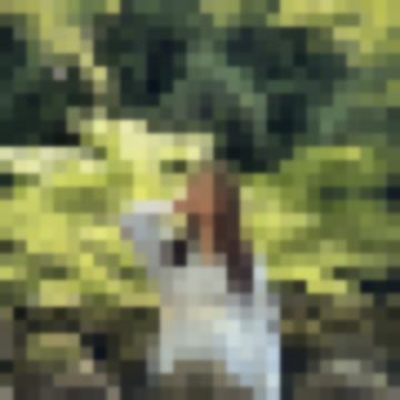 Graphic designer & travel addicted