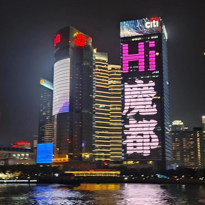 理想的我