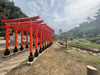 OSAosa