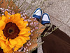 WeTravel