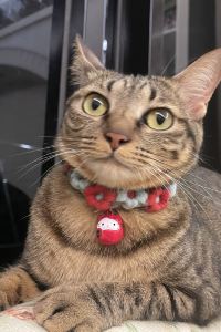 snake shieh 屏東灣稻旅居優惠